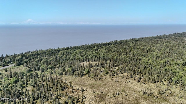 TRD Cohoe Loop Rd, Kasilof, AK 99610