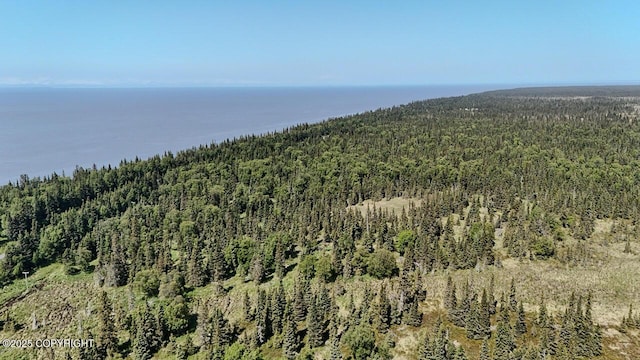 TRD Cohoe Loop Rd, Kasilof, AK 99610