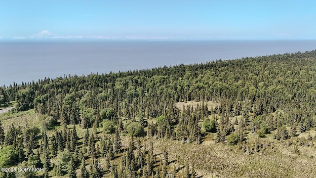TRD Cohoe Loop Rd, Kasilof, AK 99610