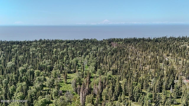 TRD Cohoe Loop Rd, Kasilof, AK 99610