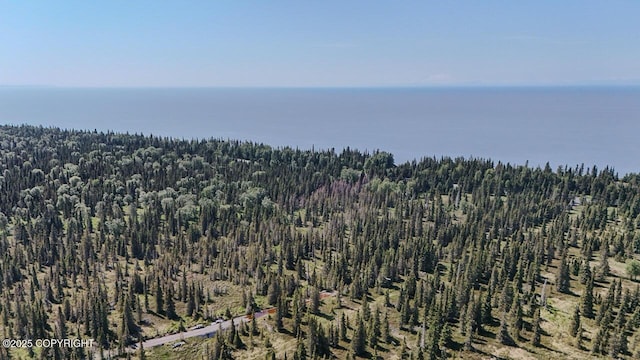 TRD Cohoe Loop Rd, Kasilof, AK 99610