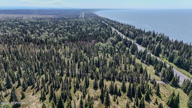 TRD Cohoe Loop Rd, Kasilof, AK 99610