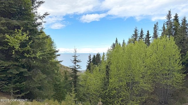 TRD Cohoe Loop Rd, Kasilof, AK 99610