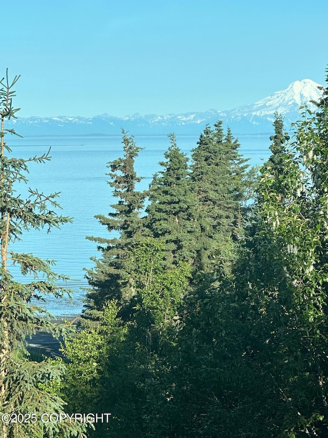 TRD Cohoe Loop Rd, Kasilof, AK 99610