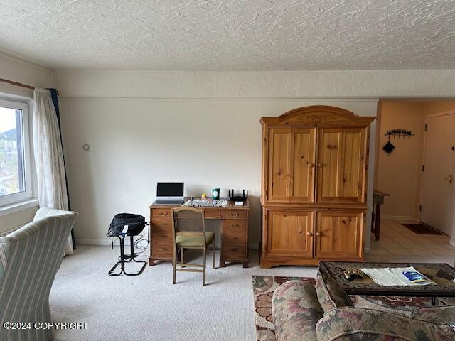 100 Kenai St # 908, Whittier, AK 99693 - office featuring a textured ceiling and light carpet