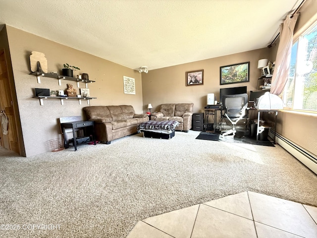 711 Maple Dr, Kenai, AK 99611 - living room with carpet, a desk, and baseboard heating