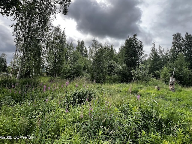 21113 W Matsnu Rd, Big Lake, AK 99623 - view of nature
