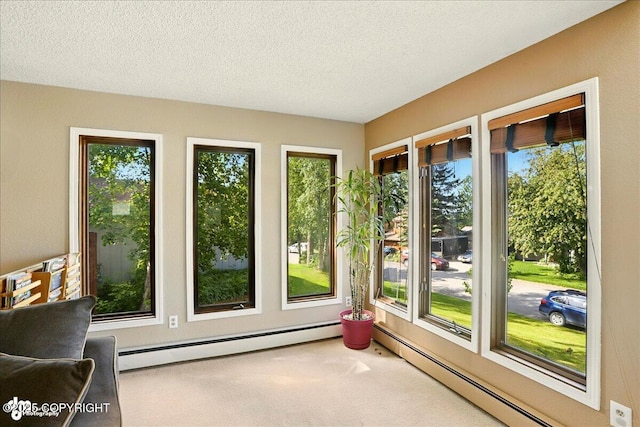 6340 Habicht Ct, Anchorage, AK 99504 - doorway with baseboard heating, carpet flooring, and a textured ceiling