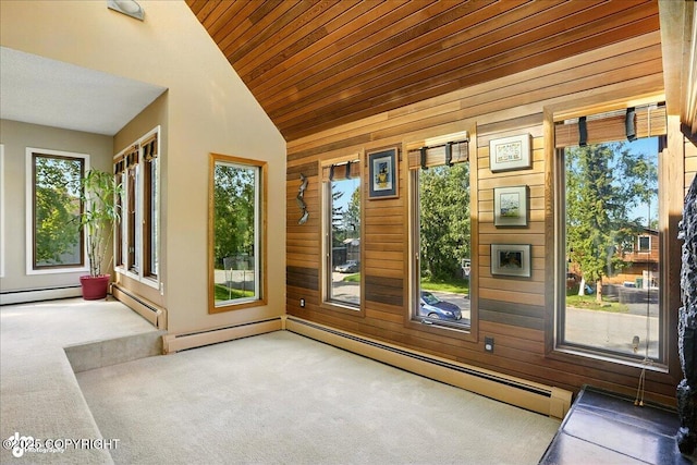 6340 Habicht Ct, Anchorage, AK 99504 - doorway with lofted ceiling, carpet floors, wood walls, a baseboard heating unit, and wooden ceiling