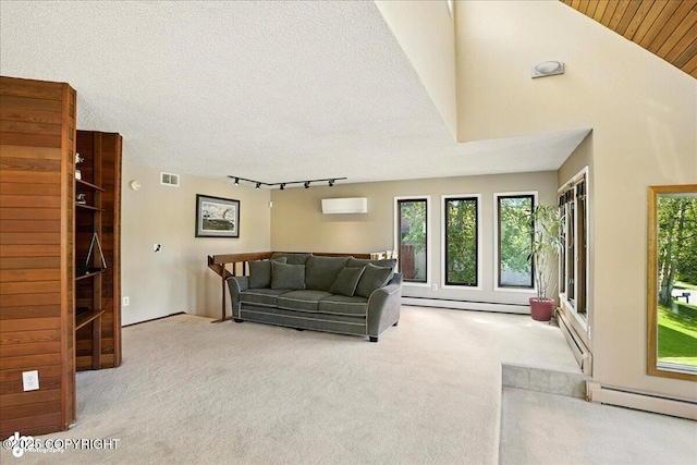 6340 Habicht Ct, Anchorage, AK 99504 - living area with carpet, a baseboard heating unit, an AC wall unit, and rail lighting