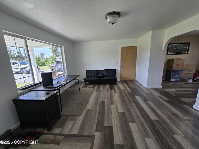 46270 Woodwill Dr, Kenai, AK 99611 - living room featuring arched walkways, wood finished floors, and a textured ceiling