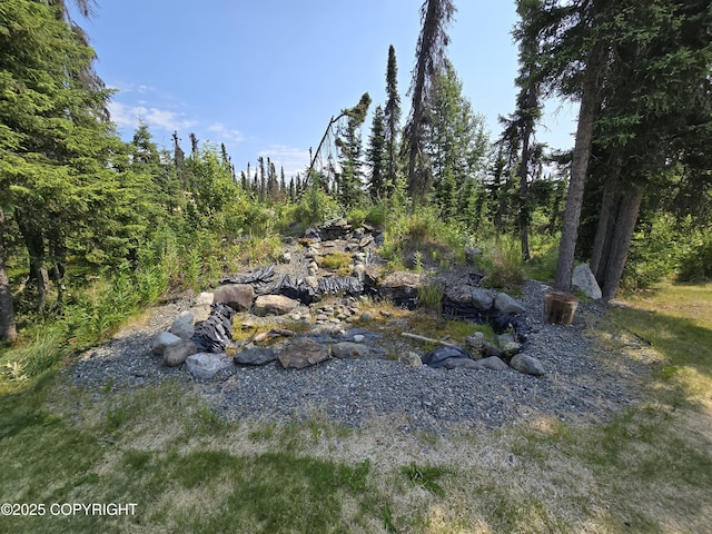 46270 Woodwill Dr, Kenai, AK 99611 - view of yard