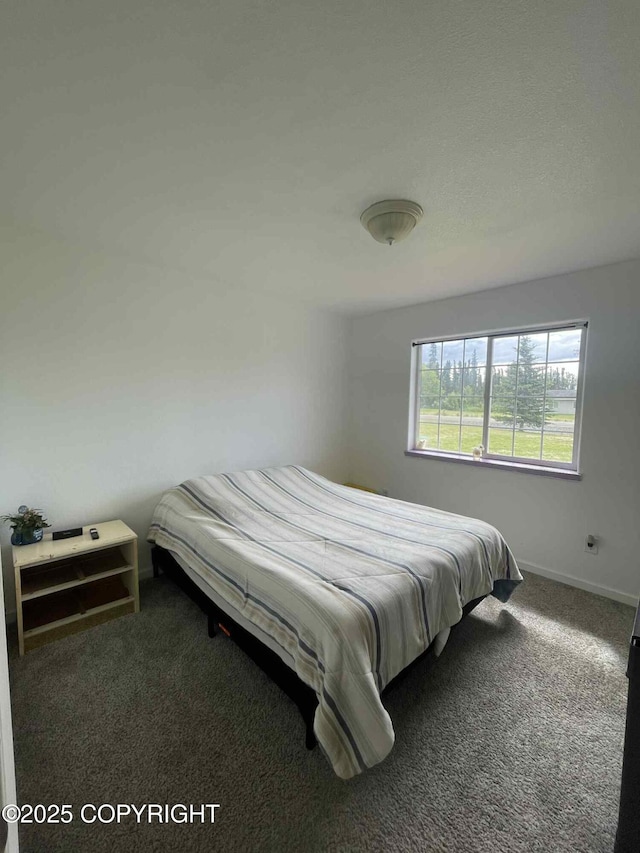 46270 Woodwill Dr, Kenai, AK 99611 - bedroom with carpet floors