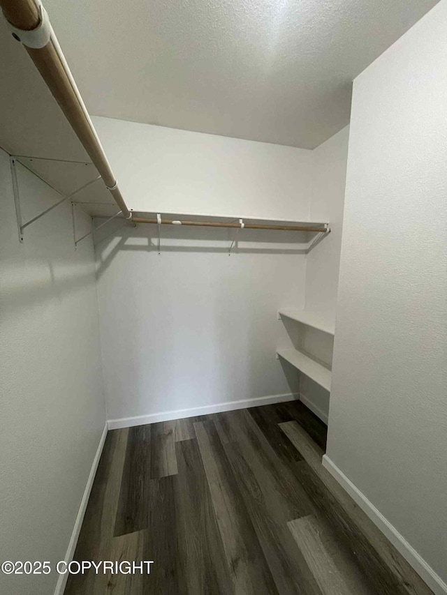 46270 Woodwill Dr, Kenai, AK 99611 - spacious closet with wood finished floors