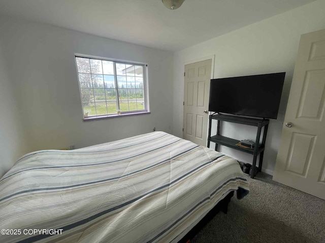 46270 Woodwill Dr, Kenai, AK 99611 - view of carpeted bedroom