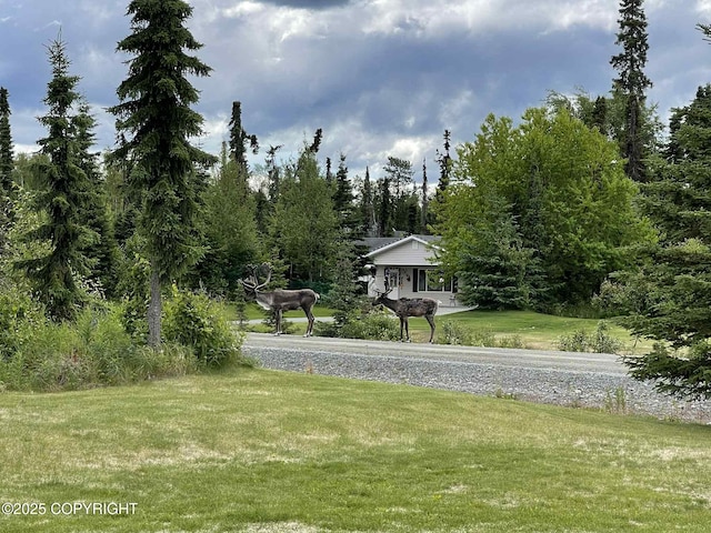 46270 Woodwill Dr, Kenai, AK 99611 - view of grassy yard