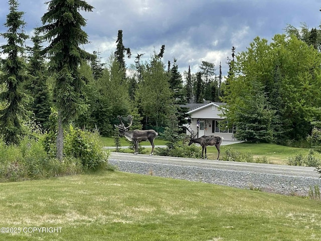 46270 Woodwill Dr, Kenai, AK 99611 - view of home's community with a yard