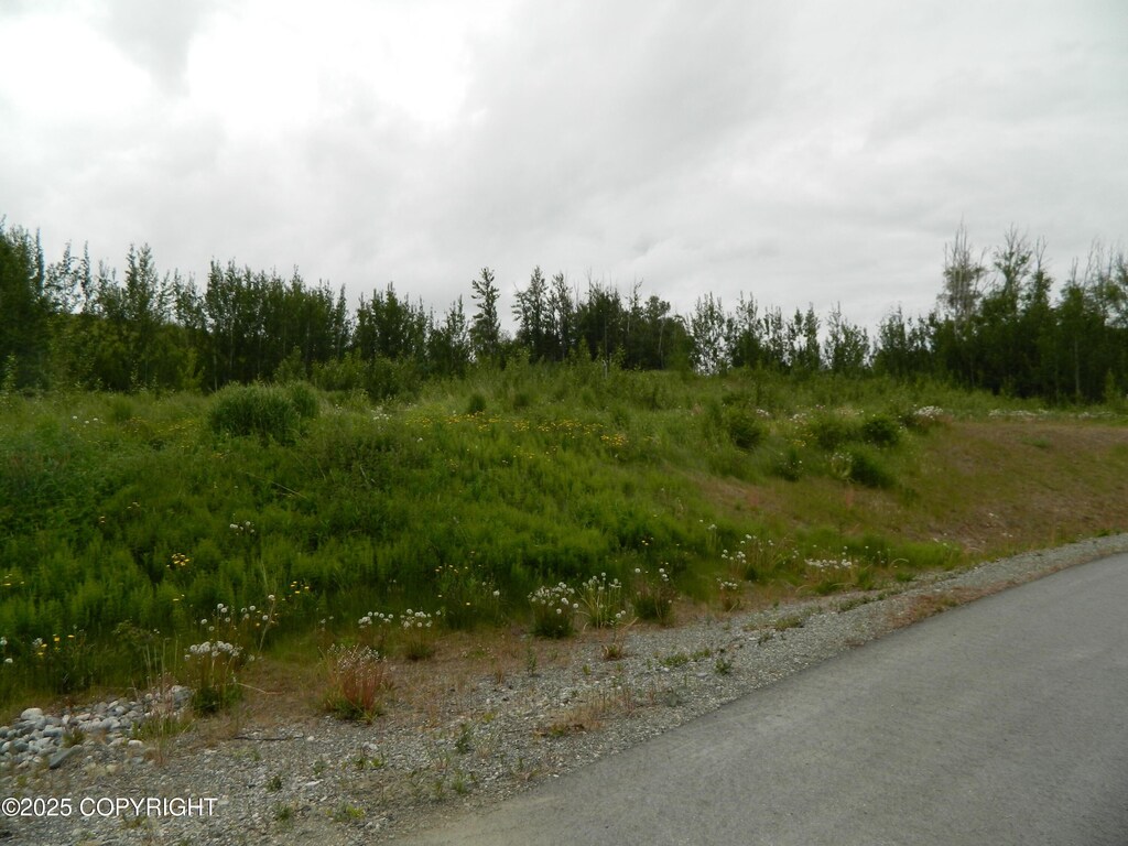 2200 N Hemmer Rd, Palmer, AK 99645