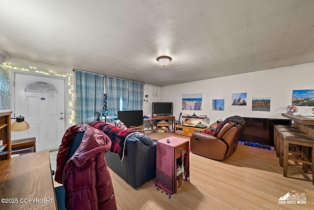 4116 W 88th Ave, Anchorage, AK 99502 - living room with light wood-type flooring and a textured ceiling