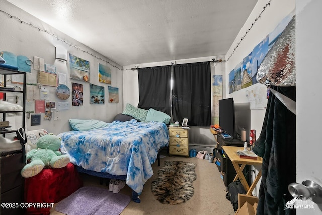 4116 W 88th Ave, Anchorage, AK 99502 - view of bedroom