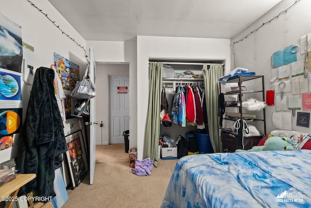 4116 W 88th Ave, Anchorage, AK 99502 - carpeted bedroom featuring a closet