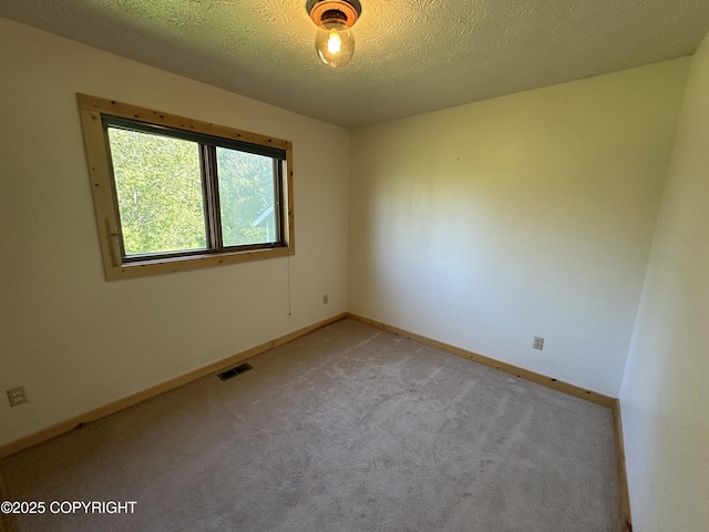 10821 E Valley Crest Dr, Palmer, AK 99645 - unfurnished room with light colored carpet and a textured ceiling