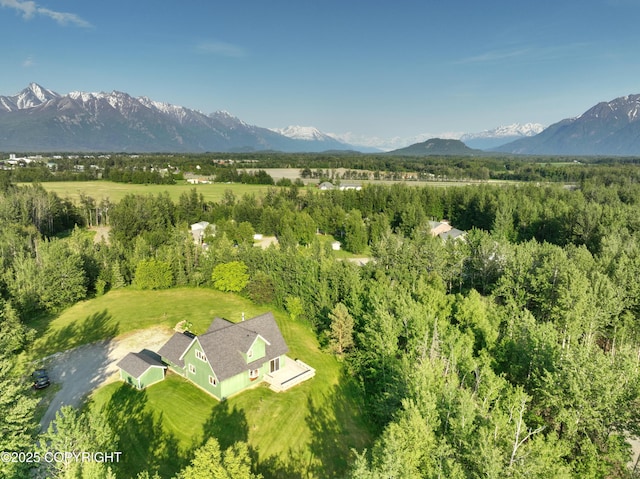 10821 E Valley Crest Dr, Palmer, AK 99645 - view of subject property with mountains