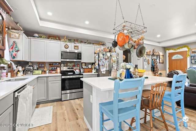 5050 N Gold Mint Dr, Wasilla, AK 99654 - kitchen with stainless steel appliances, light countertops, a raised ceiling, light wood-style flooring, and recessed lighting