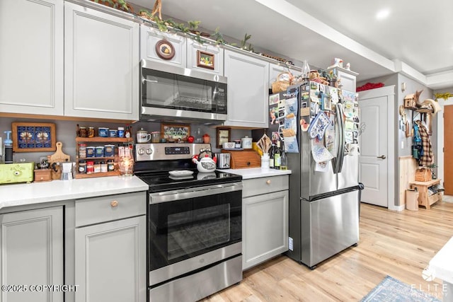 5050 N Gold Mint Dr, Wasilla, AK 99654 - kitchen with appliances with stainless steel finishes, light countertops, light wood finished floors, and gray cabinetry