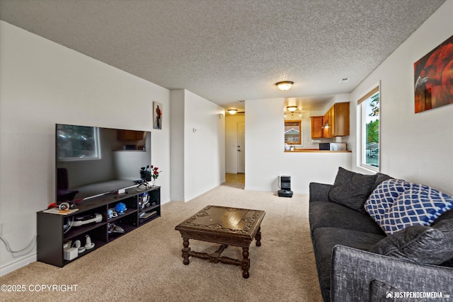 10201 Jamestown Dr # A102, Anchorage, AK 99507 - carpeted living room featuring a textured ceiling and baseboards