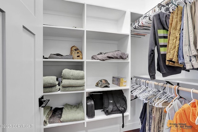 4576 S Gon Fishin Dr, Wasilla, AK 99623 - view of spacious closet