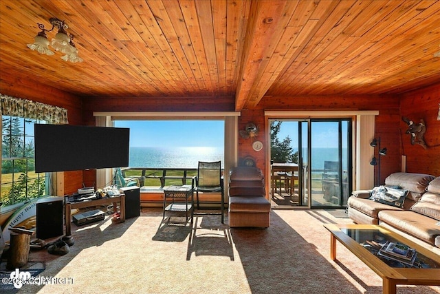 21033 Sterling Hwy, Ninilchik, AK 99639 - carpeted living area featuring wooden ceiling, plenty of natural light, and wooden walls
