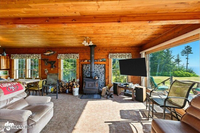 21033 Sterling Hwy, Ninilchik, AK 99639 - carpeted living room featuring wood ceiling and a wood stove