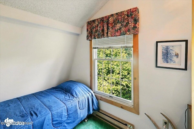 21033 Sterling Hwy, Ninilchik, AK 99639 - bedroom with a baseboard radiator, lofted ceiling, and a textured ceiling