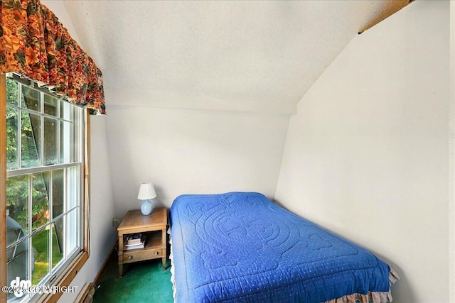 21033 Sterling Hwy, Ninilchik, AK 99639 - carpeted bedroom featuring a baseboard radiator, lofted ceiling, and a textured ceiling