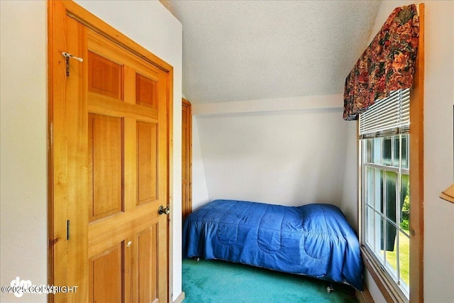 21033 Sterling Hwy, Ninilchik, AK 99639 - bedroom with multiple windows, carpet, and a textured ceiling