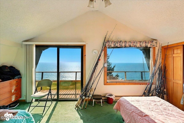 21033 Sterling Hwy, Ninilchik, AK 99639 - bedroom featuring a water view, lofted ceiling, carpet flooring, a textured ceiling, and access to exterior