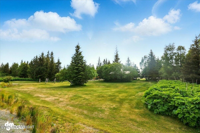21033 Sterling Hwy, Ninilchik, AK 99639 - view of green lawn