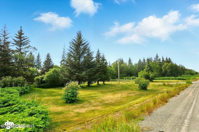 21033 Sterling Hwy, Ninilchik, AK 99639 - view of local wilderness
