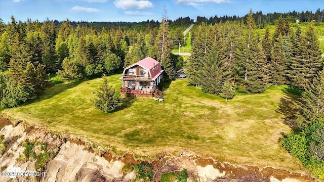 21033 Sterling Hwy, Ninilchik, AK 99639 - view from above of property featuring a heavily wooded area
