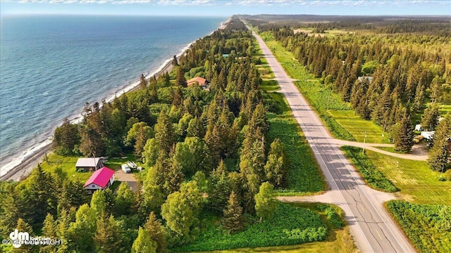 21033 Sterling Hwy, Ninilchik, AK 99639 - aerial view of property and surrounding area featuring a nearby body of water and a forest