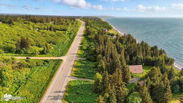 21033 Sterling Hwy, Ninilchik, AK 99639 - aerial view of property's location with a nearby body of water