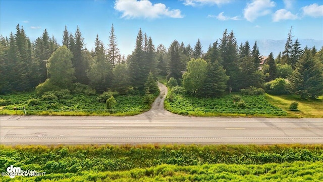 21033 Sterling Hwy, Ninilchik, AK 99639 - view of asphalt street featuring a view of trees