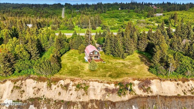 21033 Sterling Hwy, Ninilchik, AK 99639 - aerial view of a forest