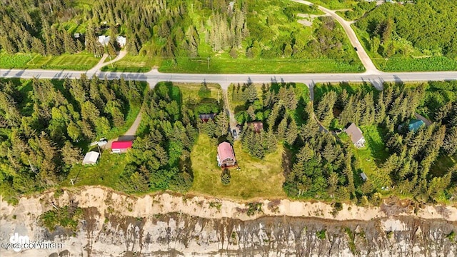 21033 Sterling Hwy, Ninilchik, AK 99639 - view of property location