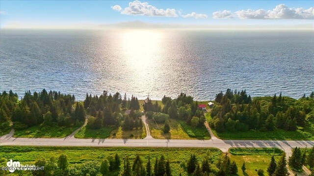 21033 Sterling Hwy, Ninilchik, AK 99639 - bird's eye view of a large body of water