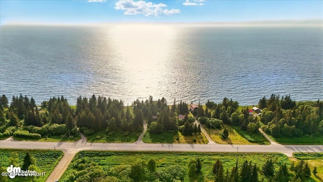 21033 Sterling Hwy, Ninilchik, AK 99639 - bird's eye view of a large body of water