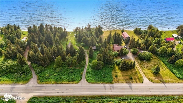 21033 Sterling Hwy, Ninilchik, AK 99639 - bird's eye view of a nearby body of water