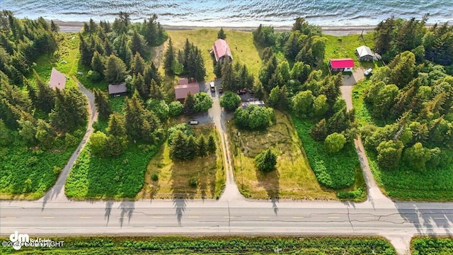 21033 Sterling Hwy, Ninilchik, AK 99639 - aerial view of property's location with a large body of water