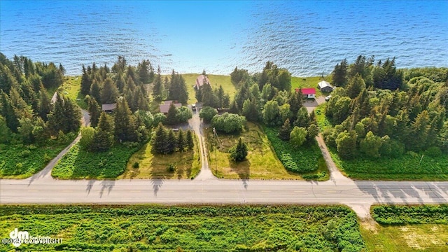 21033 Sterling Hwy, Ninilchik, AK 99639 - bird's eye view